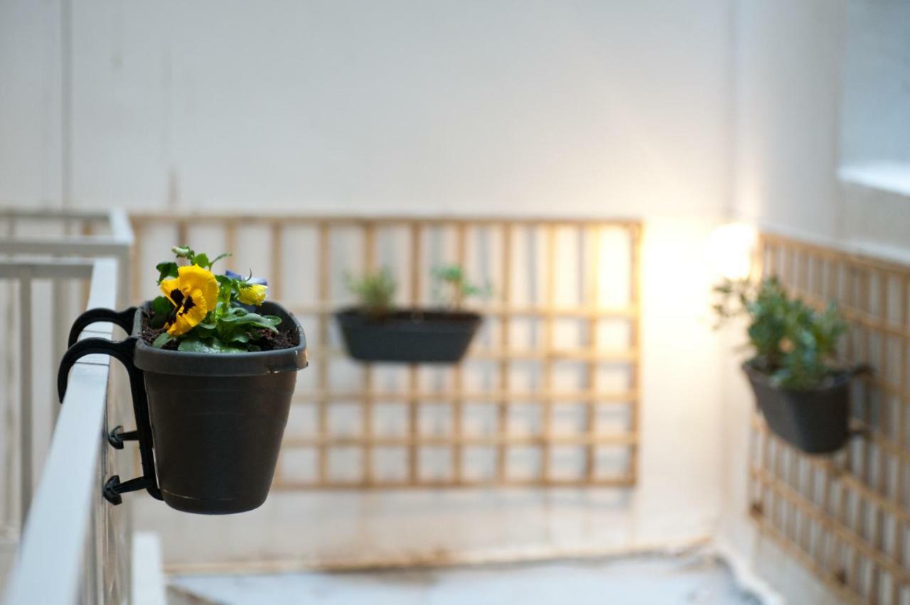 C.1 City Rose Apartment *